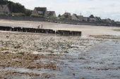 Ver-sur-mer